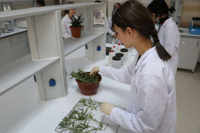 Kozmetik fabrikası gibi meslek lisesi