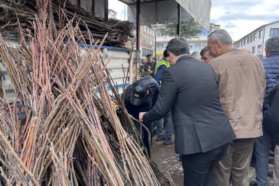 Harmancık'ta 6 bin 100 adet ceviz fidanı dağıtıldı