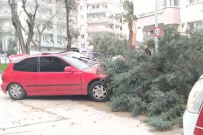 Mudanya’da ağaca çarpan otomobilin sürücüsü yaralandı