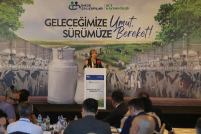 İmece Çalıştayı'nda süt hayvancılığı masaya yatırıldı