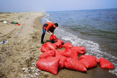 Avlanması yasak yaklaşık 700 kilogram kum şırlanı ele geçirildi