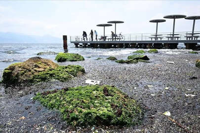 İzmir Körfezi için kirlilik uyarısı