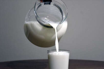 'Gelecek yıl Dünya Süt Günü’nü sütsüz karşılayabiliriz'