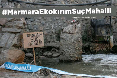 'Marmara Denizi ekosistemi can çekişiyor'