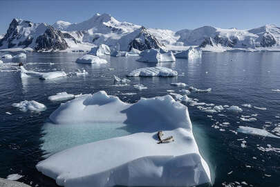 'Dünyanın ısınmasını 1,5 derece ile sınırlamak ölüm kalım meselesidir'
