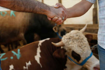 Kurban Bayramı tatili 9 gün oldu