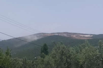 Fındıklı'nın ORTAŞ'la imtihanı: Taş ocağı yaşam alanına yakın