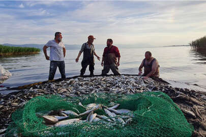İznik Gölü'nde sezon balık bolluğu ile başladı