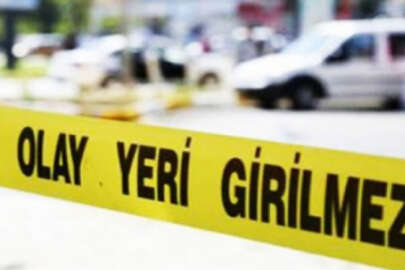 İznik'te kamyonetin çarptığı çocuk öldü