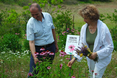Bursalı doktorun tıbbi aromatik bahçesi doğaseverleri ağırlıyor
