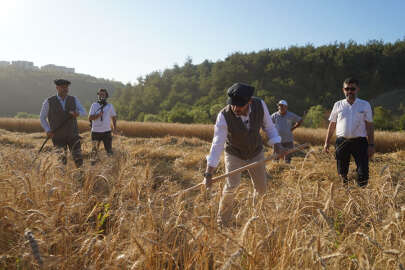 Ekmeği 1 liradan satan Kestel Belediyesi, 1050 dönüme ektiği buğdayın hasadını yaptı