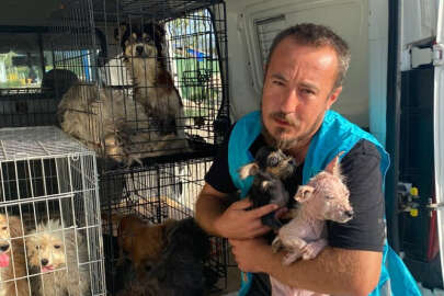 Terk edilmiş çiftlikte bakımsız ve bitkin 16 köpek bulundu