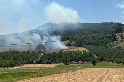 Mustafakemalpaşa'da ormanlık alanda çıkan yangın söndürüldü