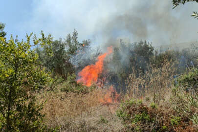 Orhangazi'de zeytinlik alanda çıkan yangın kontrol altına alındı
