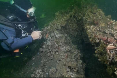 17 Ağustos'un 24. yıldönümünde depremin "batık şehri"nden canlı yayın