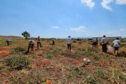 CHP'den mevsimlik tarım işçilerinin sorunlarına çözüm önerileri