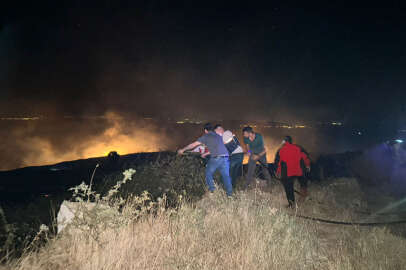 Marmara Adası'nda orman yangını