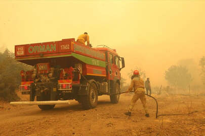 Çanakkale'de orman yangını çıktı