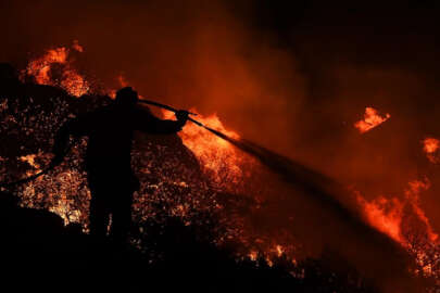 Yangınların sürdüğü ormanlık alanda 18 kişinin cesedi bulundu
