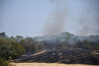 Nilüfer'de otluk alanda başlayan yangın ağaçlık alana sıçradı