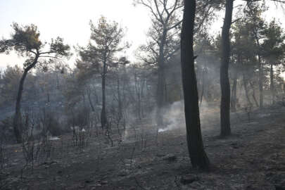 Çanakkale'deki orman yangını kontrol altına alındı