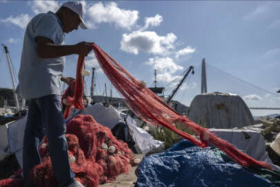 Denizlerde bu yıl palamut az, hamsi bol olacak