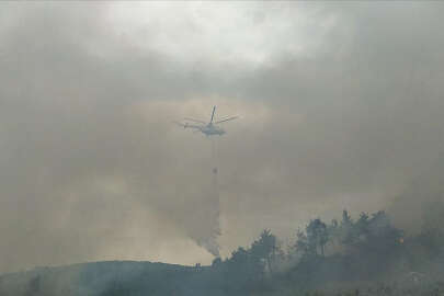 Mudanya'daki yangında 25 hektarlık ormanlık alan etkilendi