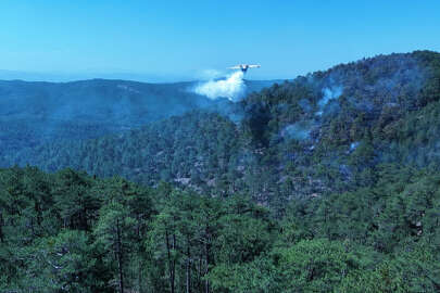 Bursa-Kütahya sınırında orman yangını