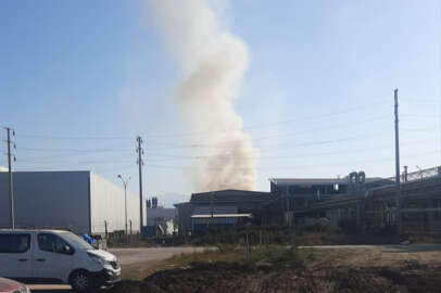 İnegöl'de orman ürünleri fabrikasında çıkan yangında bir işçi yaralandı