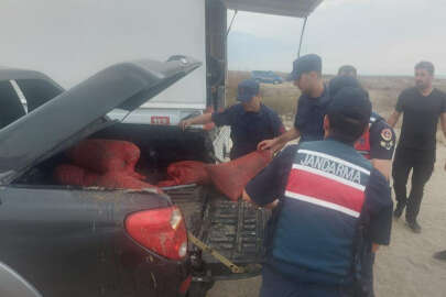 Mudanya'da avlanması yasak 5,5 ton kum şırlanı ele geçirildi