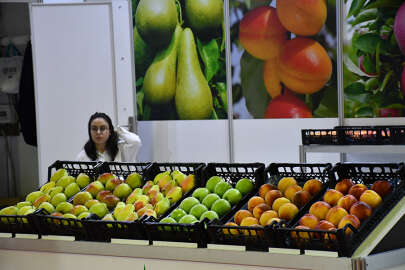 Bursa'da tarım ve hayvancılık fuarları başladı