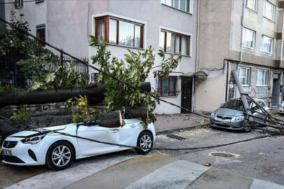 Bursa'da lodos nedeniyle ağaç ve elektrik direği devrildi