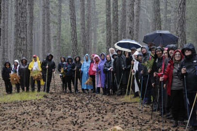 Mudanyalı doğaseverler Kocayayla’da doğa yürüyüşü düzenledi