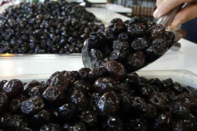 Marmarabirlik yarın ortaklarına 522 milyon lira ödeme yapacak