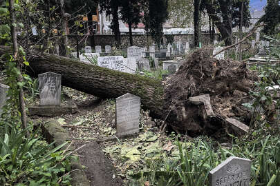 Kuvvetli lodosta devrilen ağaçlar mezarlara zarar verdi
