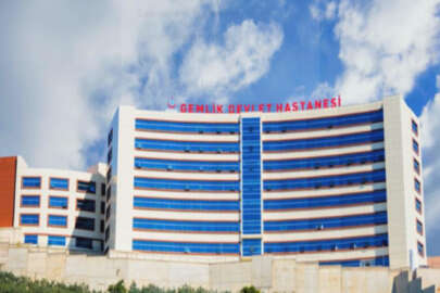 Gemlik'te zeytinlik alanda bir kişi silahla öldürüldü