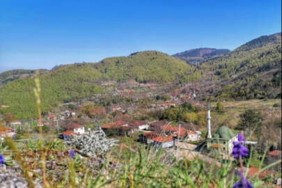 İnegöl'de mahalle muhtarı tarlasında ölü bulundu