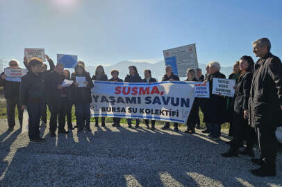 '2024, Ekokırım suçuna karşı mücadele yılı olacak'