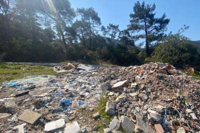 Çevreyi kirletenlere 2024'te verilecek cezalar belli oldu