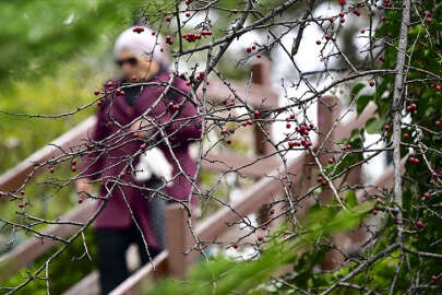 Son 53 yılın en sıcak ocak ayı yaşandı