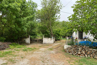 Kayıp ekonomist Korhan Berzeg'in evinin yakınında kemik parçaları bulundu