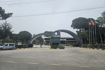 HEKTAŞ’ın ÇED raporunda İznik Gölü yok sayıldı