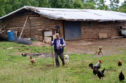 20 günlük kuzu sahibinin peşinden ayrılmıyor
