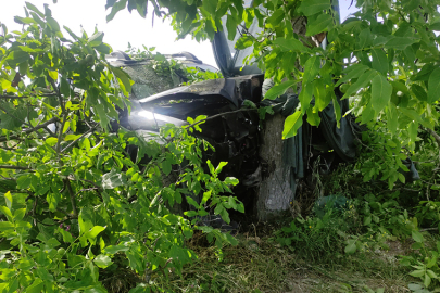 Bursa'da kamyonetin ağaca çarptığı kazada sürücü yaralandı