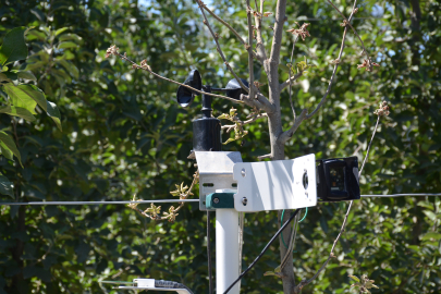 Tarladaki ürünlere yapay zekalı sistemle takip