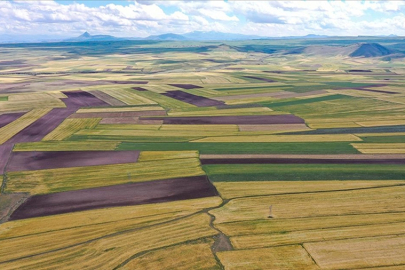 Arsa alırken nelere dikkat etmelisiniz?
