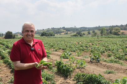 Nilüfer Belediyesi 350 dekarlık alanda tarımsal üretim yapıyor