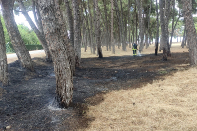 Orhangazi'de mesire yerinde çıkan yangın söndürüldü