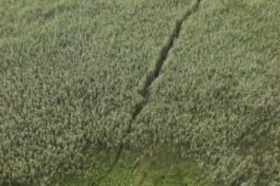 AFAD sazlıkta mahsur kalan kişileri mi kurtardı, yoksa tatbikat mı yaptı?