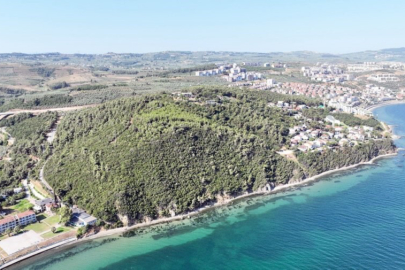 116 dönüm deniz manzaralı ormana Mudanya Belediyesi talip oldu